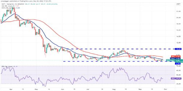 波卡币现在多少钱一个 DOT今日最新行情K线-第1张图片-交易所